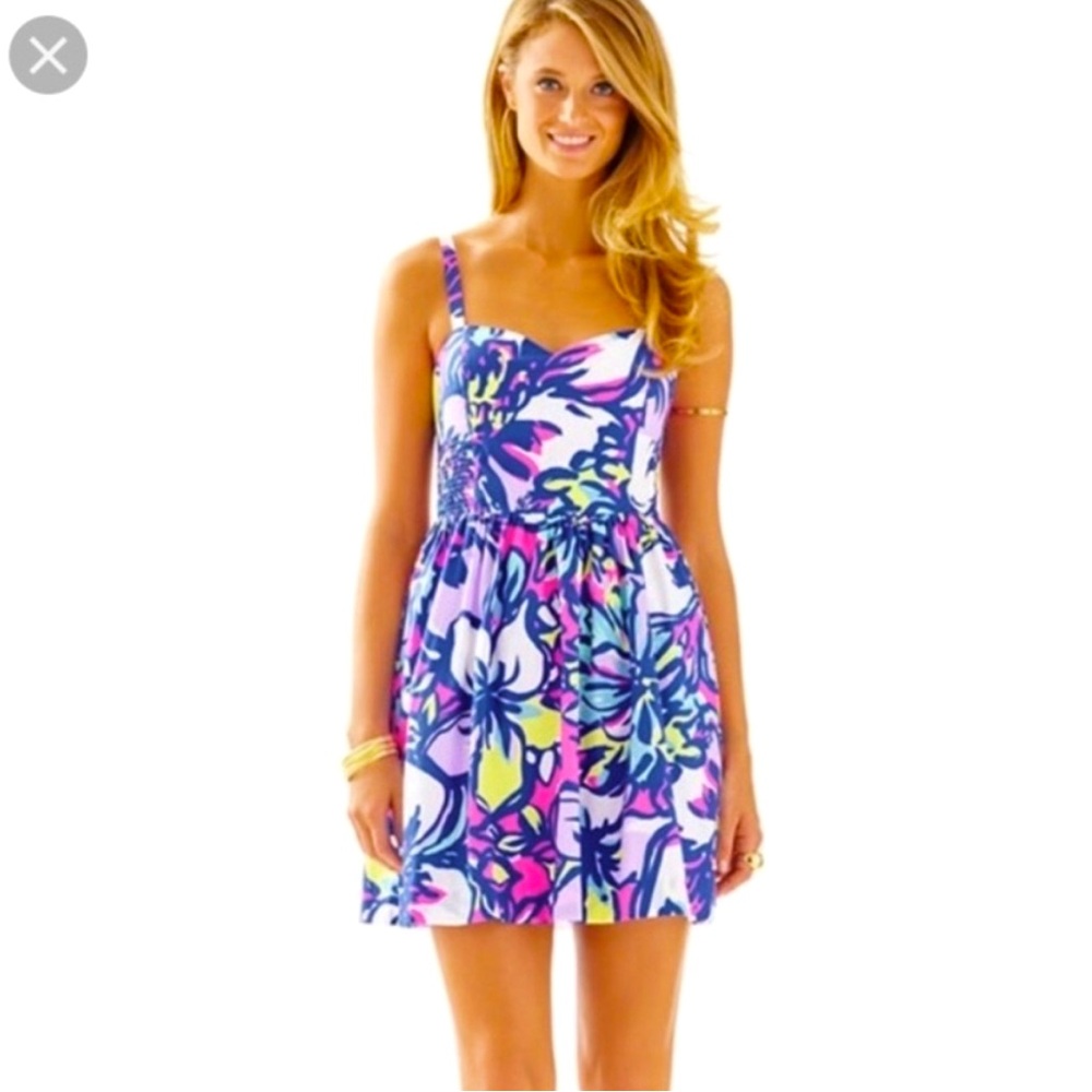 Lilly Pulitzer Christine Dress in Catwalkin